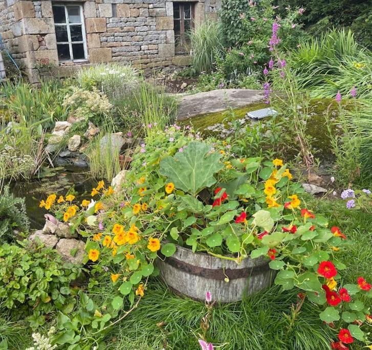 Le Petit Fleur - The Little Flower, Cosy Cottage Saint-Michel-de-Montjoie ภายนอก รูปภาพ